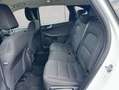 Ford Kuga 2.5 Duratec PHEV TITANIUM Weiß - thumbnail 13
