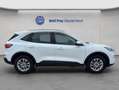 Ford Kuga 2.5 Duratec PHEV TITANIUM Weiß - thumbnail 6