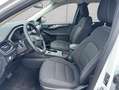 Ford Kuga 2.5 Duratec PHEV TITANIUM Weiß - thumbnail 8