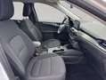 Ford Kuga 2.5 Duratec PHEV TITANIUM Weiß - thumbnail 14