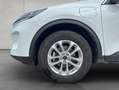 Ford Kuga 2.5 Duratec PHEV TITANIUM Weiß - thumbnail 17