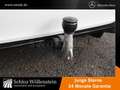 Mercedes-Benz A 200 AMG/Night/LED/AHK/DISTRONIC/Keyless/RfCam Bianco - thumbnail 12