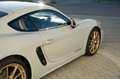 Porsche Cayman 718 Cayman GTS 4.0 Schaltgetriebe *EXC-Optionen* Grijs - thumbnail 14
