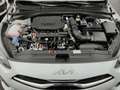 Kia Ceed SW / cee'd SW Ultimate Edition 1.5 DCT Mild-Hybrid Style-Paket N Blanco - thumbnail 14