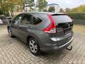 Honda CR-V CR-V 2.0i-VTEC 4WD Executive*Automatik Gris - thumbnail 11