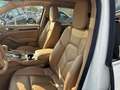 Porsche Cayenne 3.0 Diesel Bianco - thumbnail 4