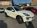 Porsche Cayenne 3.0 Diesel Bianco - thumbnail 3