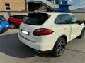 Porsche Cayenne 3.0 Diesel Bianco - thumbnail 16