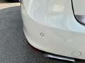 Porsche Cayenne 3.0 Diesel Bianco - thumbnail 9