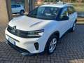 Citroen C5 Aircross C5 Aircross 1.5 Bluehdi EAT8 Shine PREZZO REALE!!! Weiß - thumbnail 1