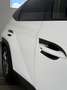 Hyundai TUCSON 1.6 T-GDI DCT NAVI+ACC+HECK+RFK Weiß - thumbnail 5