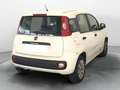 Fiat Panda Panda III 2012 1.2 Easy 69cv Bianco - thumbnail 3