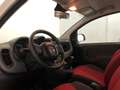 Fiat Panda Panda III 2012 1.2 Easy 69cv Bianco - thumbnail 10
