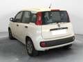 Fiat Panda Panda III 2012 1.2 Easy 69cv Bianco - thumbnail 2