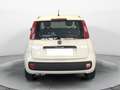 Fiat Panda Panda III 2012 1.2 Easy 69cv Bianco - thumbnail 6
