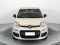 Fiat Panda Panda III 2012 1.2 Easy 69cv Bianco - thumbnail 5
