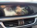 Alfa Romeo Stelvio Stelvio 2.2 Turbodiesel 210 CV AT8 Q4 Veloce Bleu - thumbnail 13