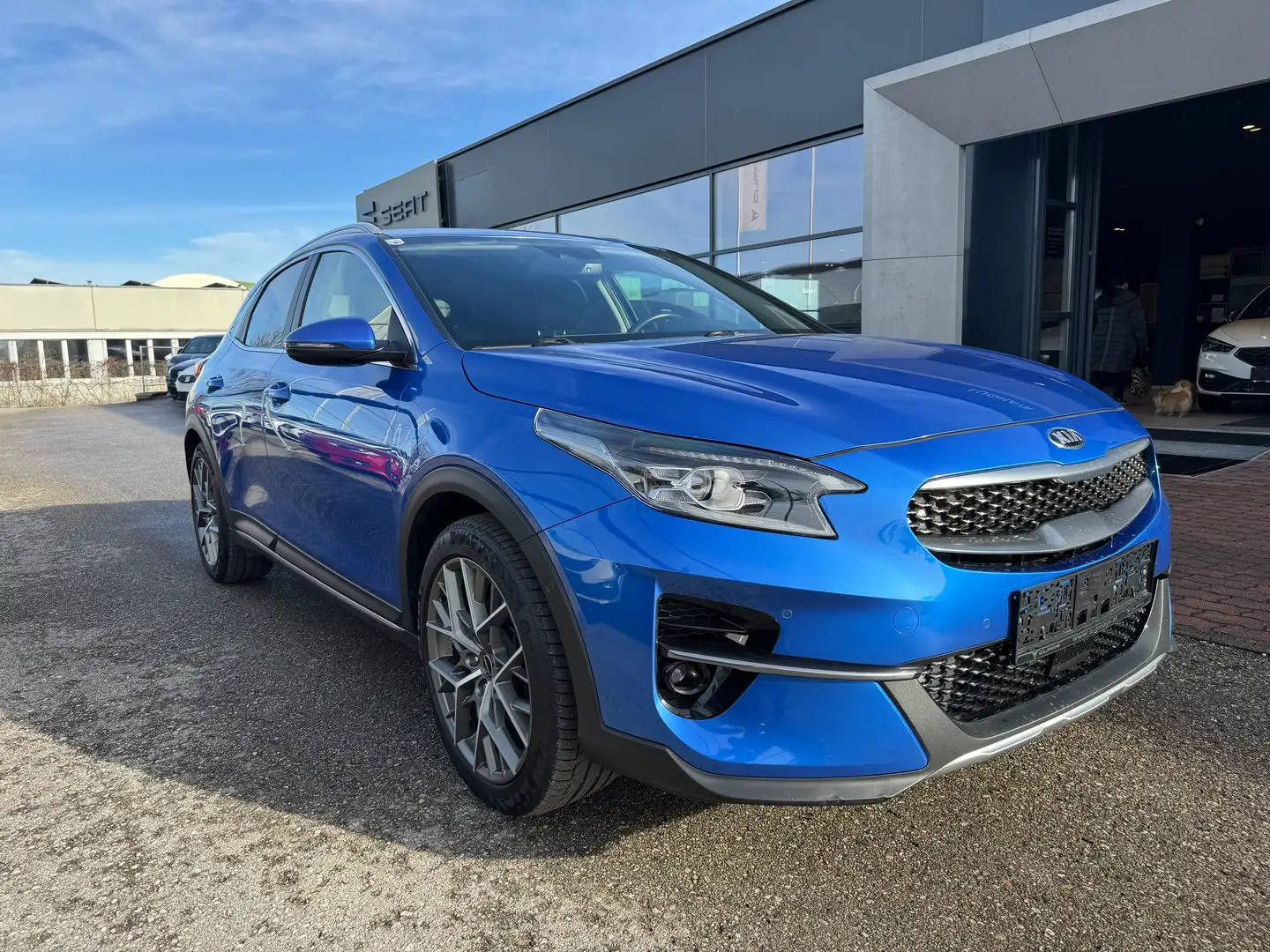Kia Ceed / cee'd Kia Xceed 1,6 CRDI SCR Platin Blau - 2