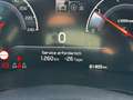 Kia Ceed / cee'd Kia Xceed 1,6 CRDI SCR Platin Blau - thumbnail 18