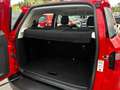 Ford EcoSport 1.0 EcoBoost 100 CV Plus Red - thumbnail 10