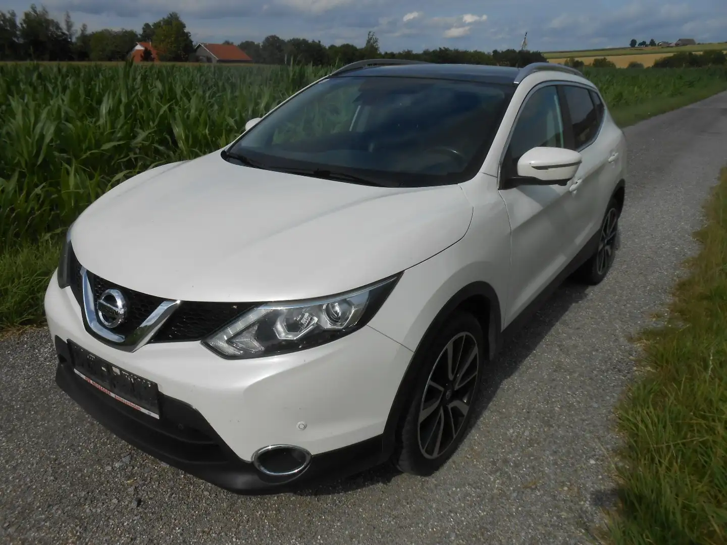 Nissan Qashqai 1,2 Tekna DIG-T (Exportfahrzeug) Weiß - 1