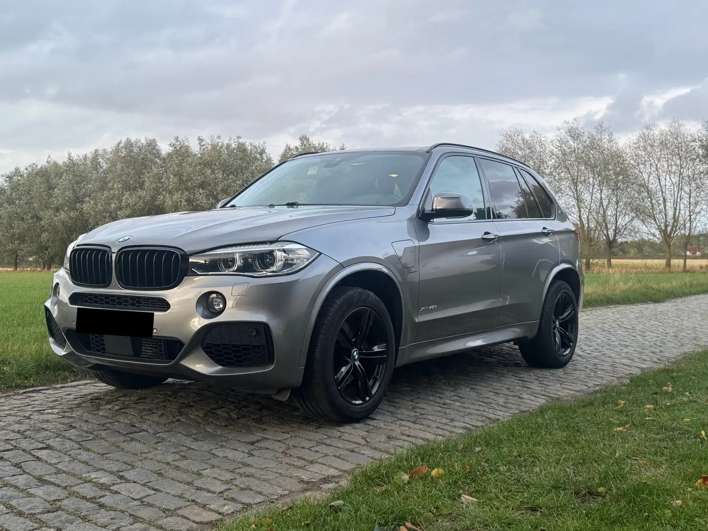 BMW X5 X5 xDrive40e | LEDER | M | LED | TOPSTAAT - 2