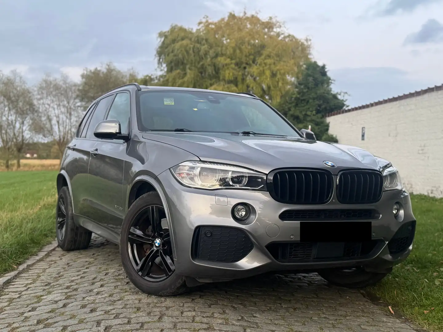 BMW X5 X5 xDrive40e | LEDER | M | LED | TOPSTAAT - 1