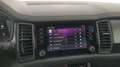 Skoda Kodiaq 4x4 Sportline TDI DSG Grau - thumbnail 19