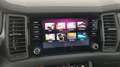 Skoda Kodiaq 4x4 Sportline TDI DSG Grau - thumbnail 17