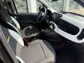 Fiat Panda Pandina 1.0 firefly hybrid s KM 5.000 PARI NUOVO Nero - thumbnail 4