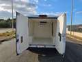 Fiat Ducato 28 2.0 MJT 120CV PC FRIGO 0° Bianco - thumbnail 11