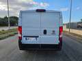 Fiat Ducato 28 2.0 MJT 120CV PC FRIGO 0° Bianco - thumbnail 10