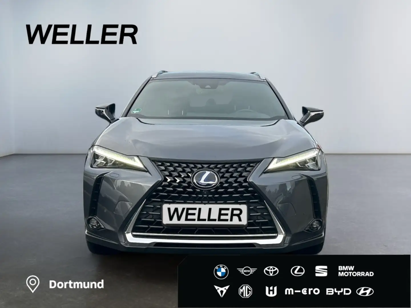 Lexus UX 250h (E-FOUR) Luxury Line*Matrix*360°*SHZ*PDC* Grau - 2