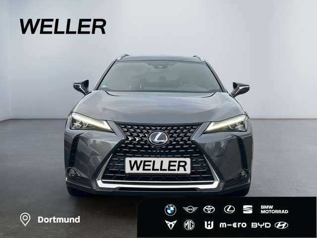 Lexus UX 250h (E-FOUR) Luxury Line*Matrix*360°*SHZ*PDC*