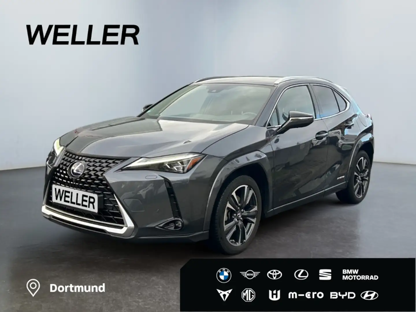 Lexus UX 250h (E-FOUR) Luxury Line*Matrix*360°*SHZ*PDC* Grau - 1