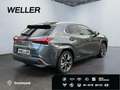 Lexus UX 250h (E-FOUR) Luxury Line*Matrix*360°*SHZ*PDC* Grau - thumbnail 19