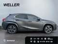 Lexus UX 250h (E-FOUR) Luxury Line*Matrix*360°*SHZ*PDC* Grau - thumbnail 10
