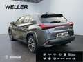 Lexus UX 250h (E-FOUR) Luxury Line*Matrix*360°*SHZ*PDC* Grau - thumbnail 7