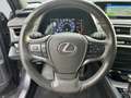 Lexus UX 250h (E-FOUR) Luxury Line*Matrix*360°*SHZ*PDC* Grau - thumbnail 13