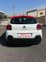 Citroen C3 C3 BlueHDi 75 S&S Shine Bianco - thumbnail 6