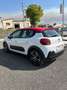 Citroen C3 C3 BlueHDi 75 S&S Shine Bianco - thumbnail 2