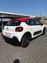 Citroen C3 C3 BlueHDi 75 S&S Shine Bianco - thumbnail 4