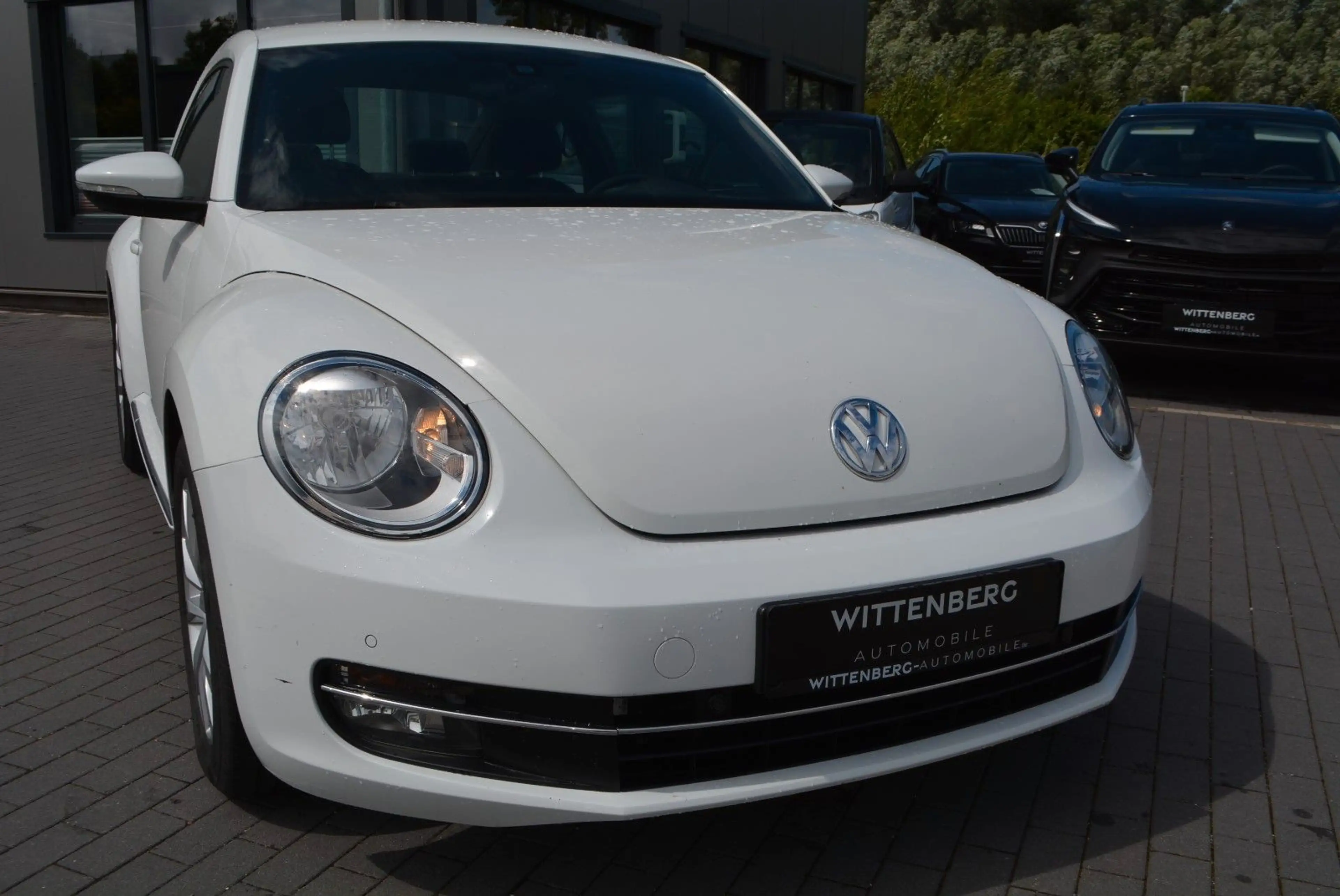 Volkswagen Beetle Design — photo 2
