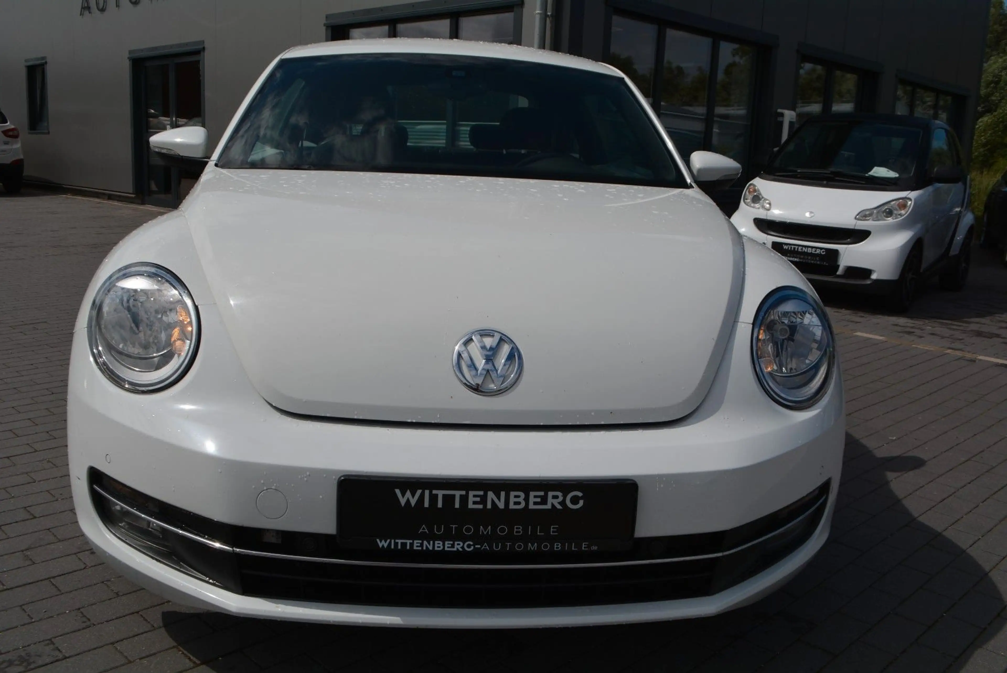 Volkswagen Beetle Design — photo 3