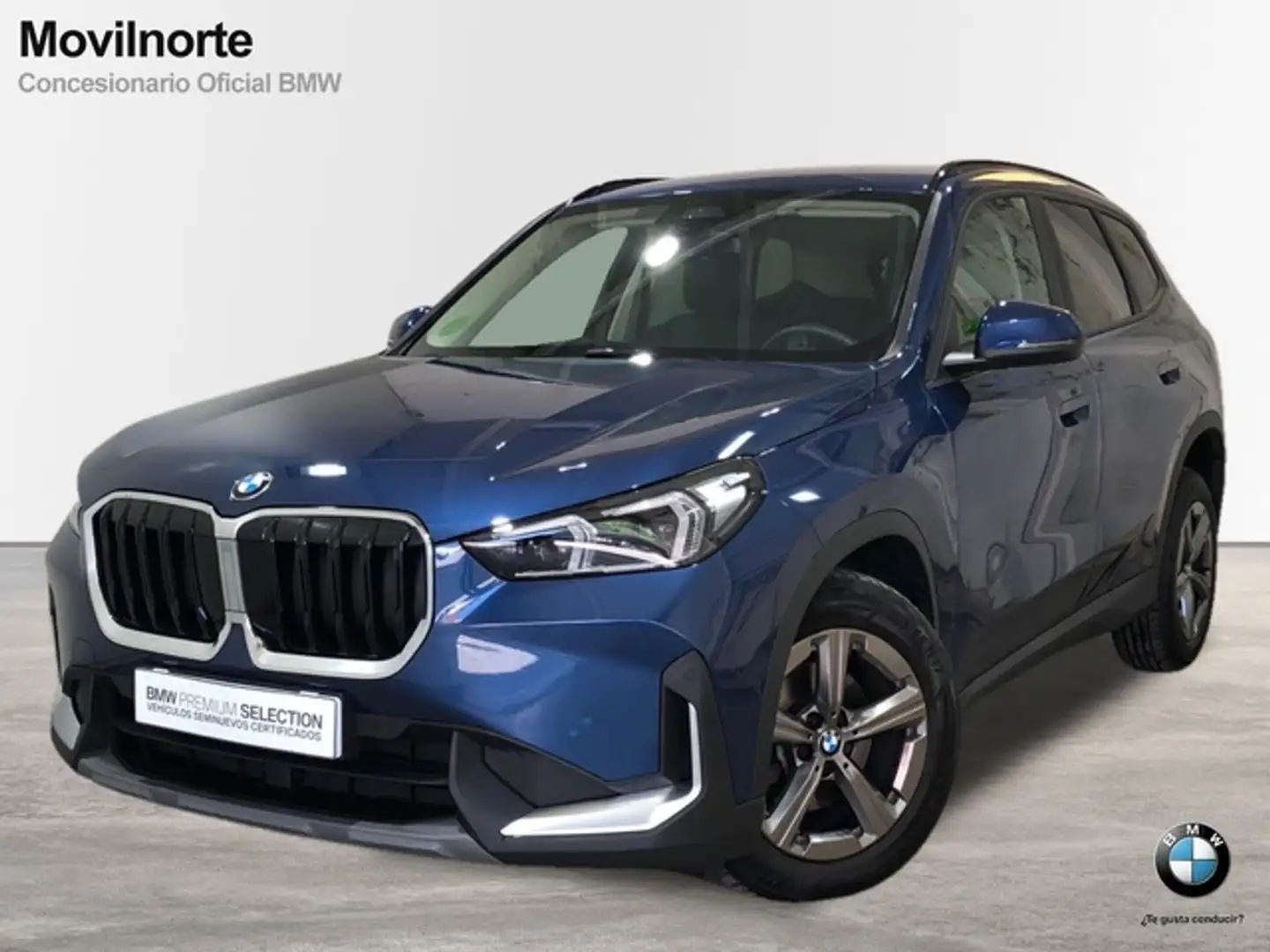 BMW X1 sDrive 18dA Azul - 1