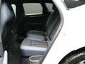 CUPRA Terramar Terramar 1.5 Hybrid DSG 150 CV Bianco - thumbnail 28