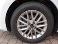 Kia Rio Rio 1.0 T-GDi 100 CV MHEV iMT Style Bianco - thumbnail 8