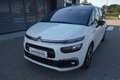 Citroen C4 SpaceTourer C4 Spacetourer BlueHDi 120 S&S 6-Gang Rip Curl Weiß - thumbnail 7