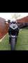 Kawasaki Z 1000 ABS Noir - thumbnail 4