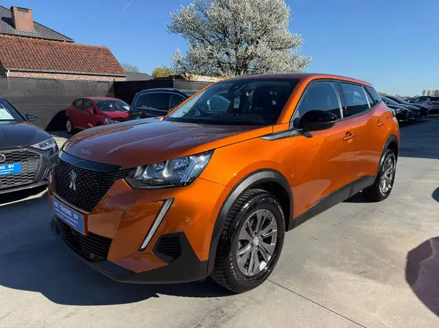 Peugeot 2008 view 9